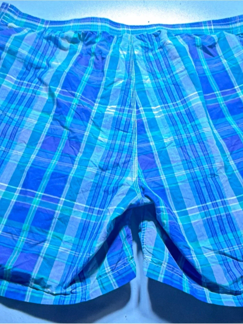 Polo by Ralph Lauren Blue and Green Plaid Swim Trunks